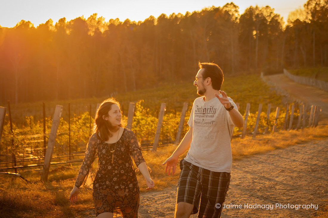 Engagement Photos at Mountain Brook Vineyards in Tryon | Asheville Proposal Photographer