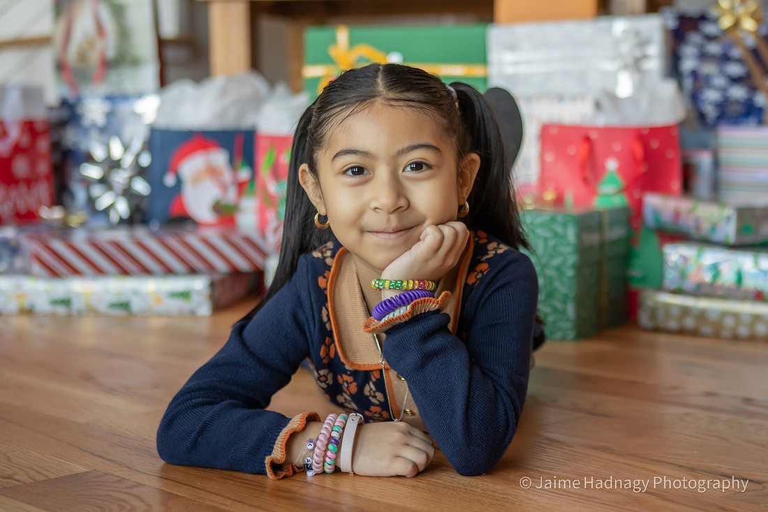 AirBNB Christmas Photos | Asheville Family Photographer