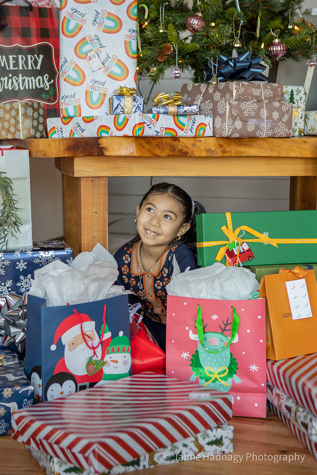 AirBNB Christmas Photos | Asheville Family Photographer