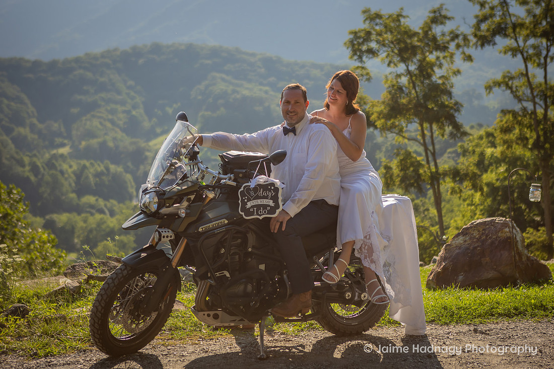 Wedding with Highland COws and Motorcycle | Asheville Elopement Photographer