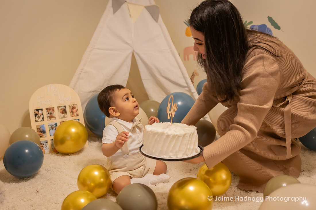 One Year Old Cake Smash Photoshoot | Asheville Baby Photographer