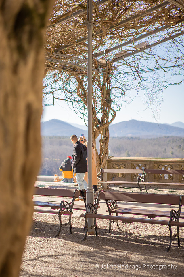 Surprise Winter Proposal at The Biltmore Estate