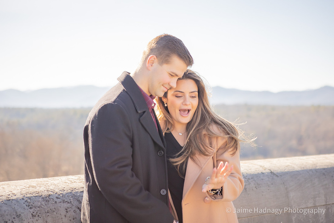 Surprise Proposal During the Holidays at The Biltmore Estate | Asheville Engagement Photographer
