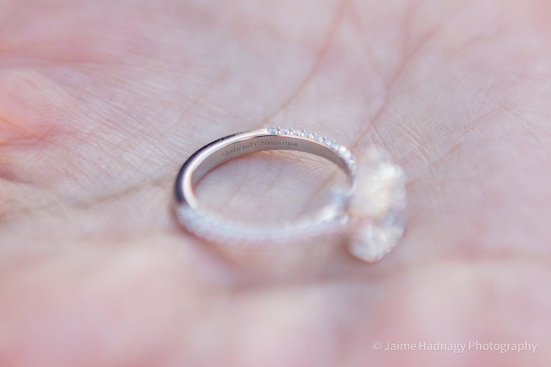 Winter Engagement Session at Biltmore Estate | Asheville Proposal Photographer