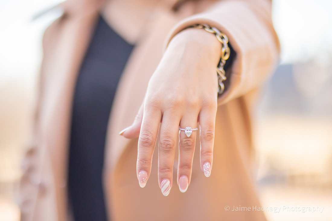 Biltmore Engagement Photos