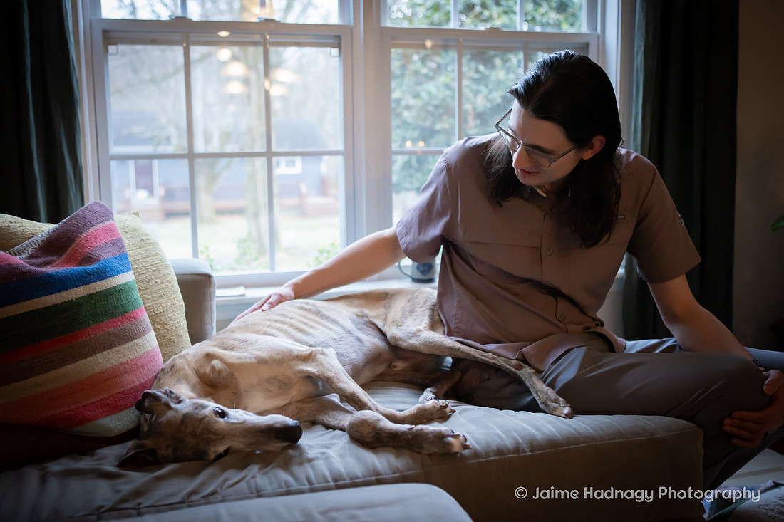 Senior Greyhound Photoshoot | Asheville dog Photographer
