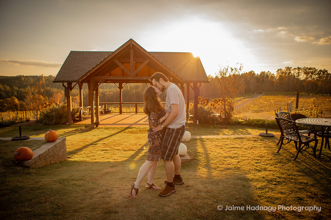 Surprise Proposal at Mountain Brook Vineyards | Asheville Engagement Photographer