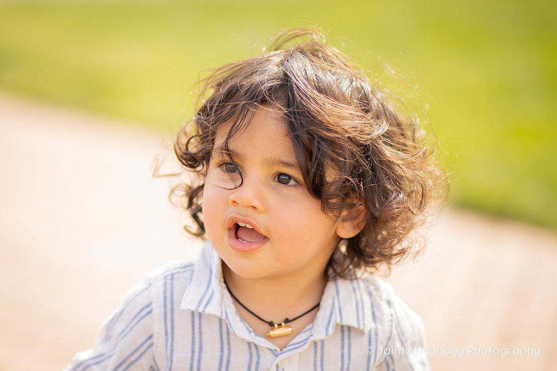 Family Photos in the Tulip Garden at the Biltmore Estate | Asheville Photographer