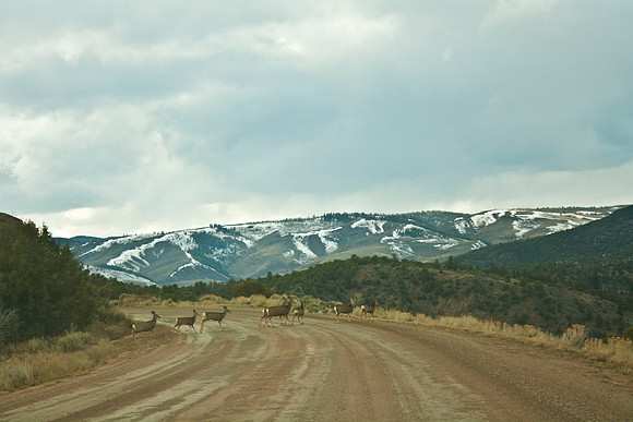 Colorado