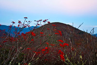Craggy Pinnacle, NC