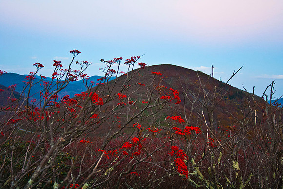 Craggy Pinnacle, NC