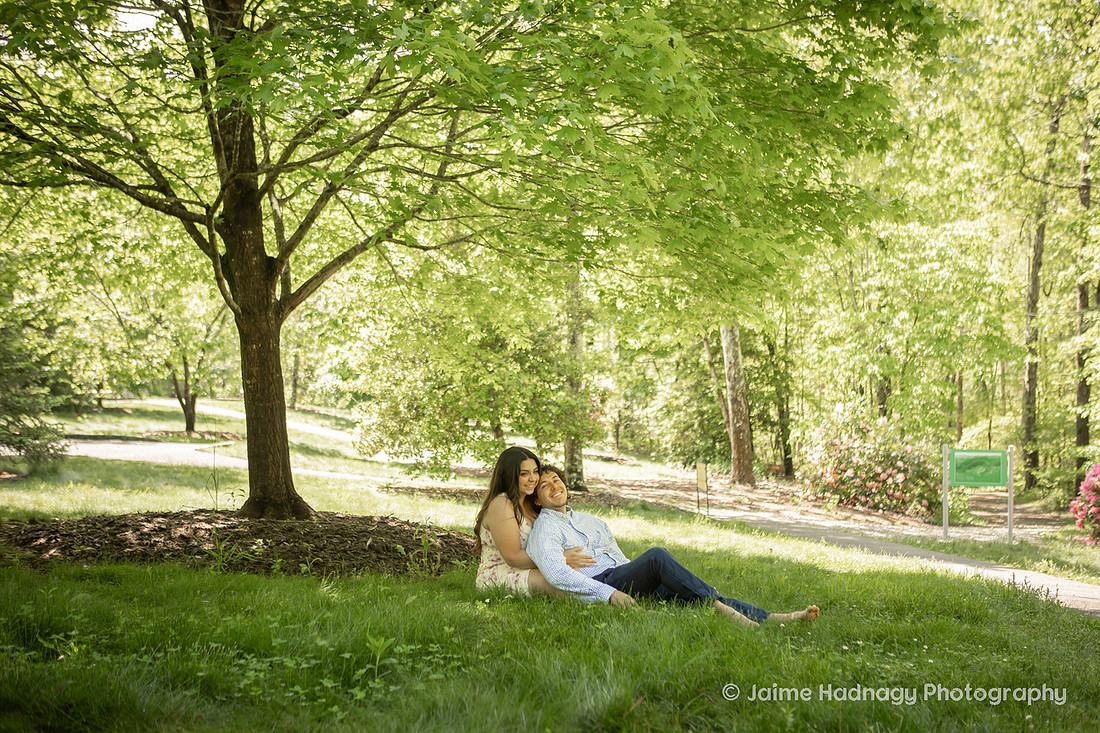 Couple sitting in the grass