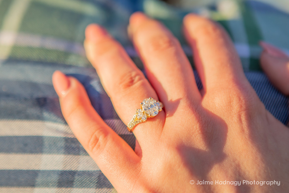 Hendersonville Proposal at Jump Off Rock During Golden Hour
