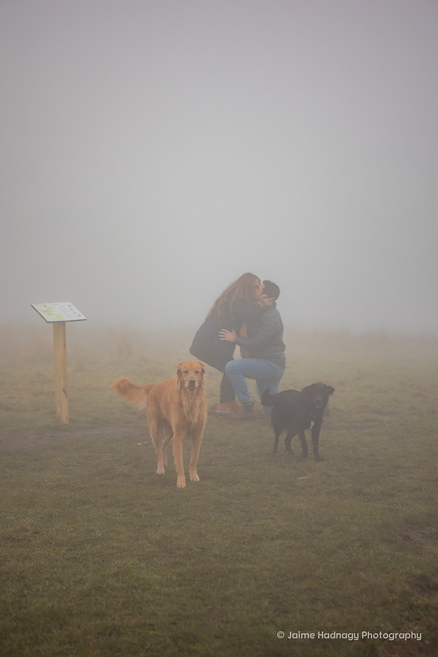 Hiking Surprise Proposal at Max Patch in the Fog | Asheville Photographer