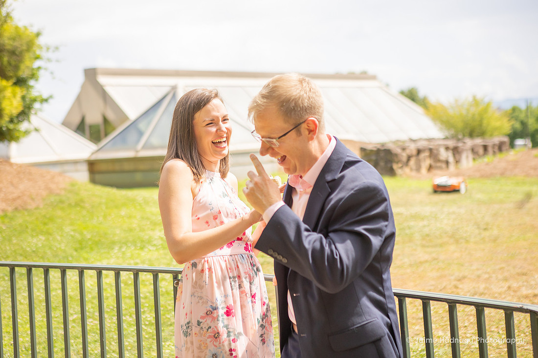 Asheville Surprise Proposal