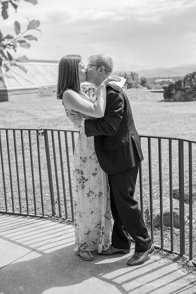 Asheville Surprise Proposal