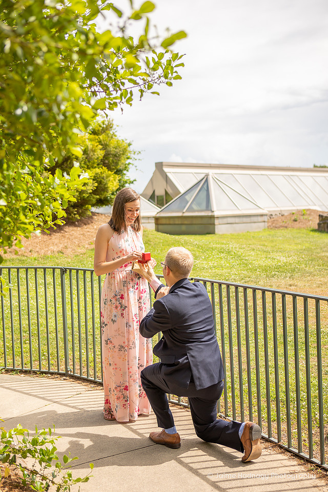 Asheville Surprise Proposal