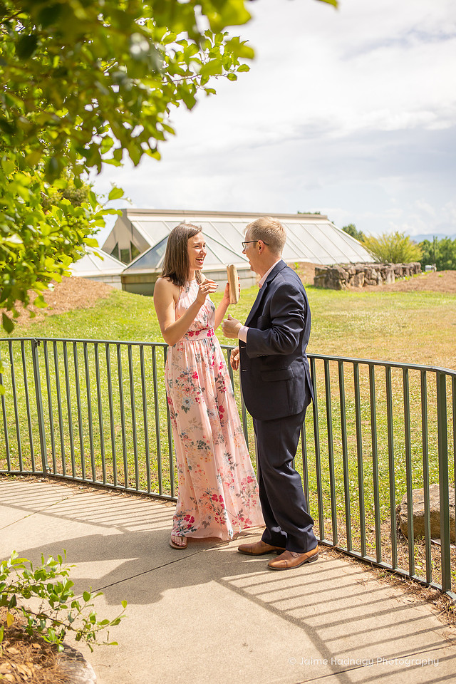 Asheville Surprise Proposal