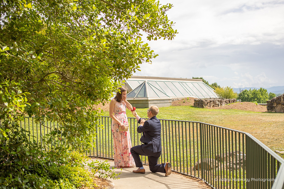 Asheville Surprise Proposal