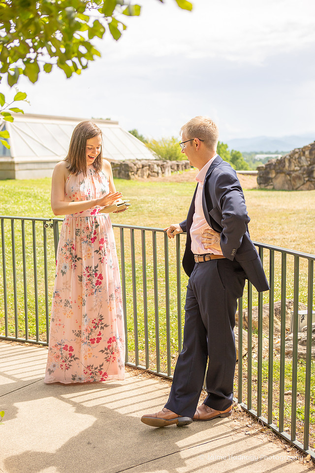 Asheville Surprise Proposal