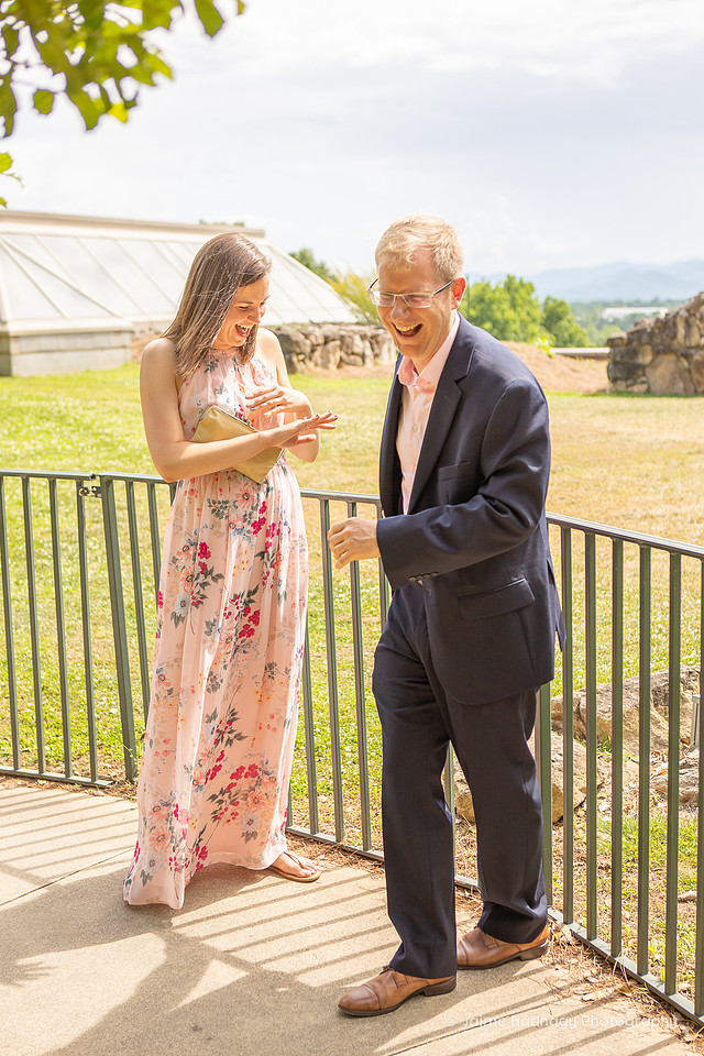 Asheville Surprise Proposal