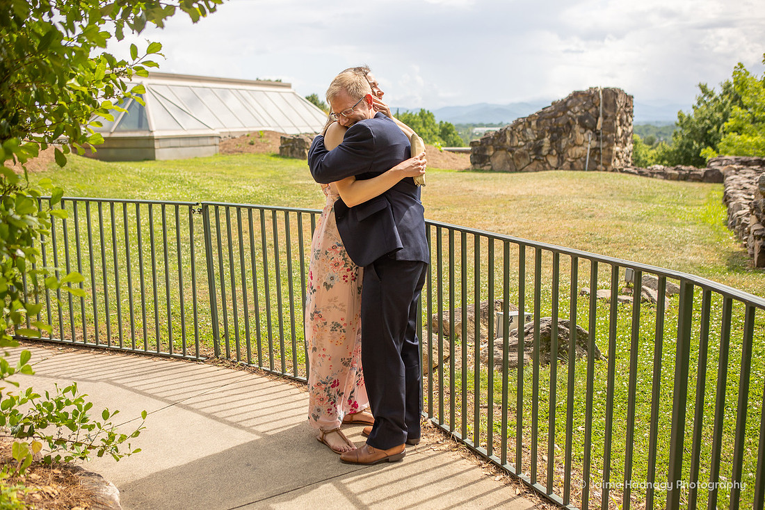 Asheville Surprise Proposal