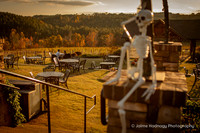 Ian & Martha: Surprise Proposal and Engagement Session at Mountain Brook Vineyards
