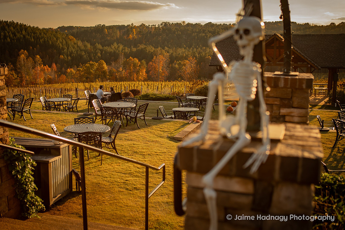 Mountain Brook Vineyards in Tryon NC