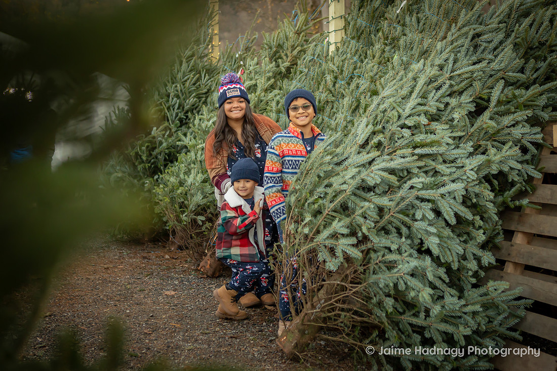 Christmas Family Photos | Asheville Photographer