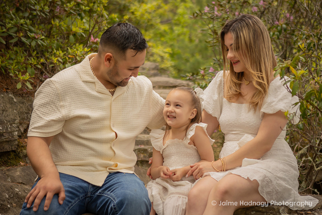 Romantic Proposal with Roses in the Mountains of Western NC | Asheville Photographer