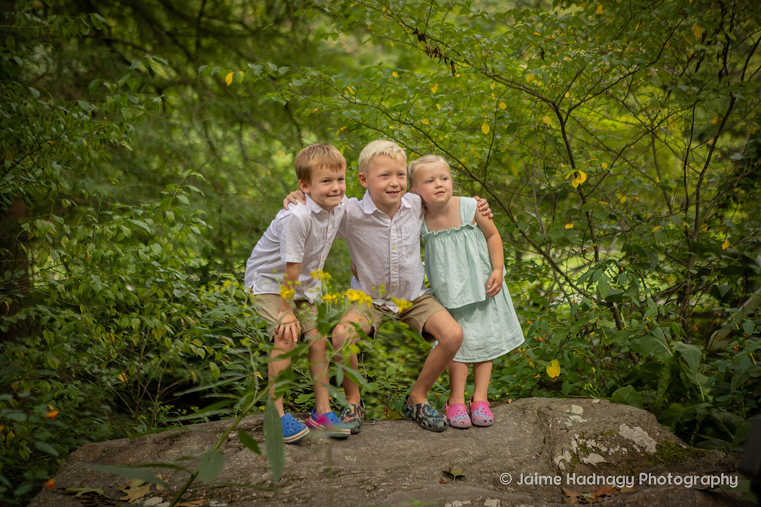 Extended Family Photos | Asheville Photographer