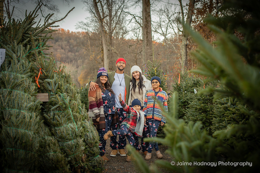 Christmas Family Photos | Asheville Photographer