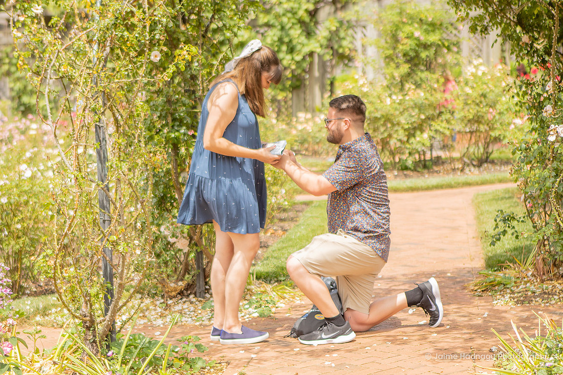 Surprise Proposal in Biltmore Estate Rose Garden | Asheville Engagement Photographer