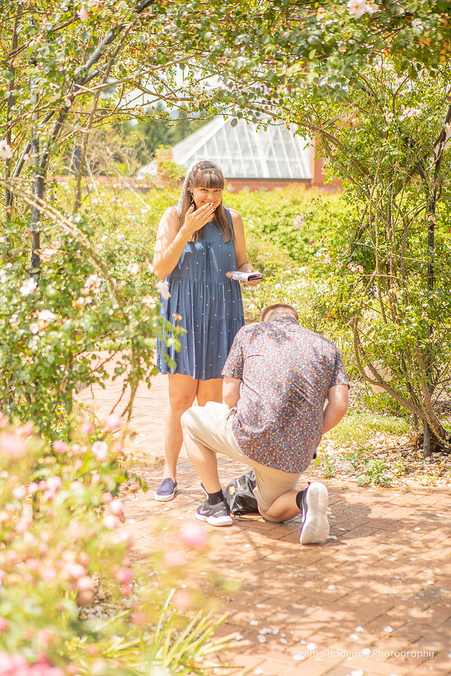Surprise Proposal in Biltmore Estate Rose Garden | Asheville Engagement Photographer