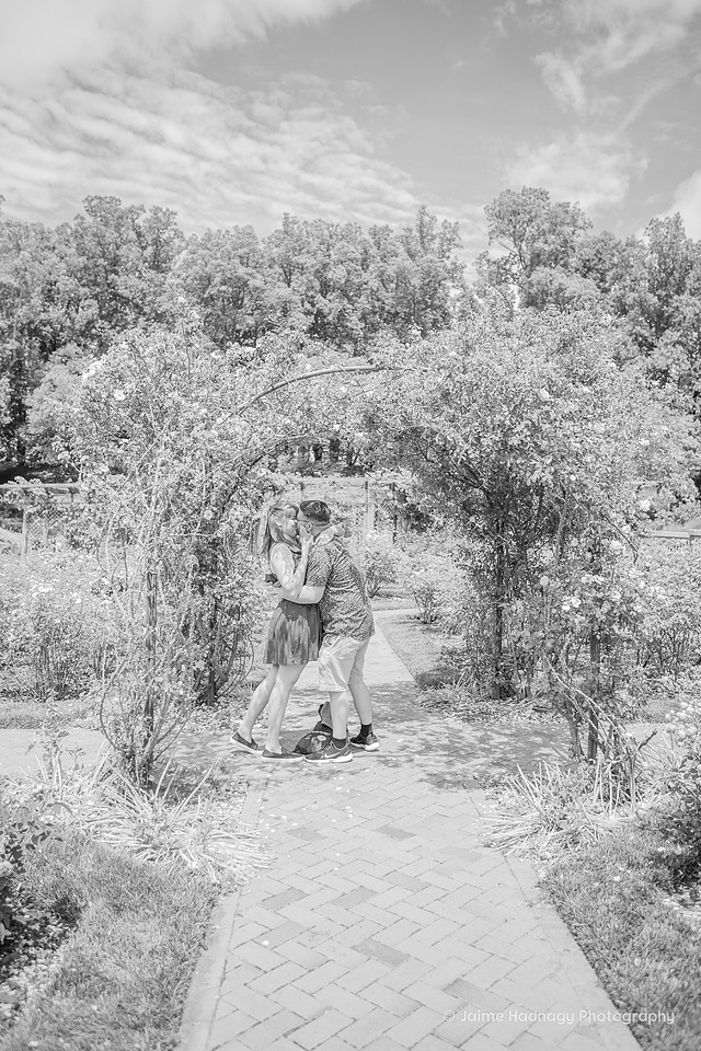Surprise Proposal in Biltmore Estate Rose Garden | Asheville Engagement Photographer