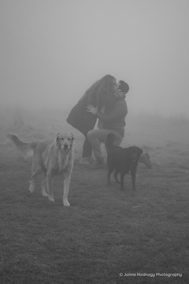 Hiking Surprise Proposal at Max Patch in the Fog | Asheville Photographer