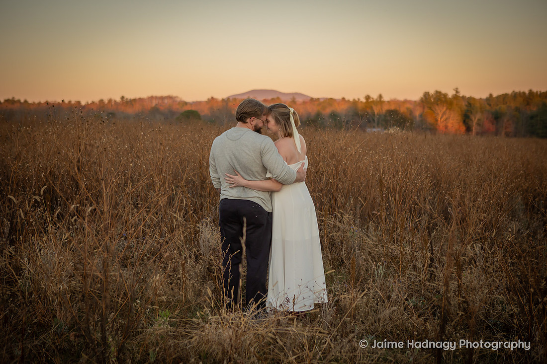 Beautiful Sunset Vineyard Proposal | Asheville Engagement Photographer
