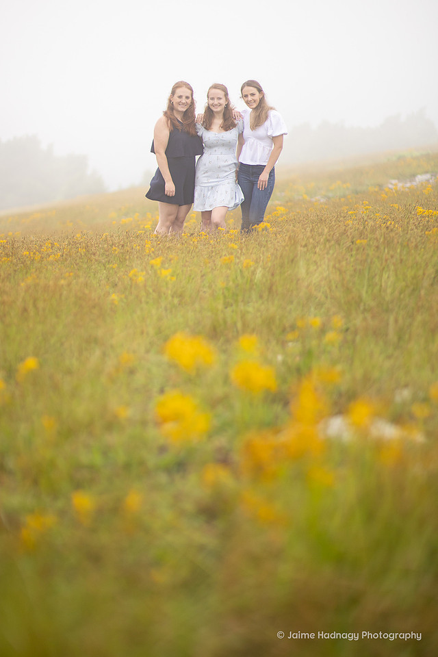 Asheville Family Photos | Mountains