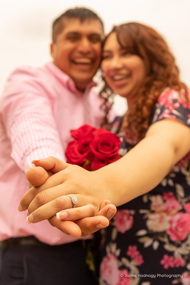 Surprise Proposal and Engagement Session Asheville Photographer goes to Greenville, SC