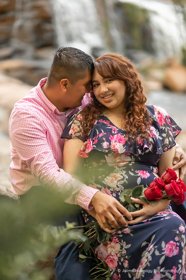 Surprise Proposal and Engagement Session Asheville Photographer goes to Greenville, SC