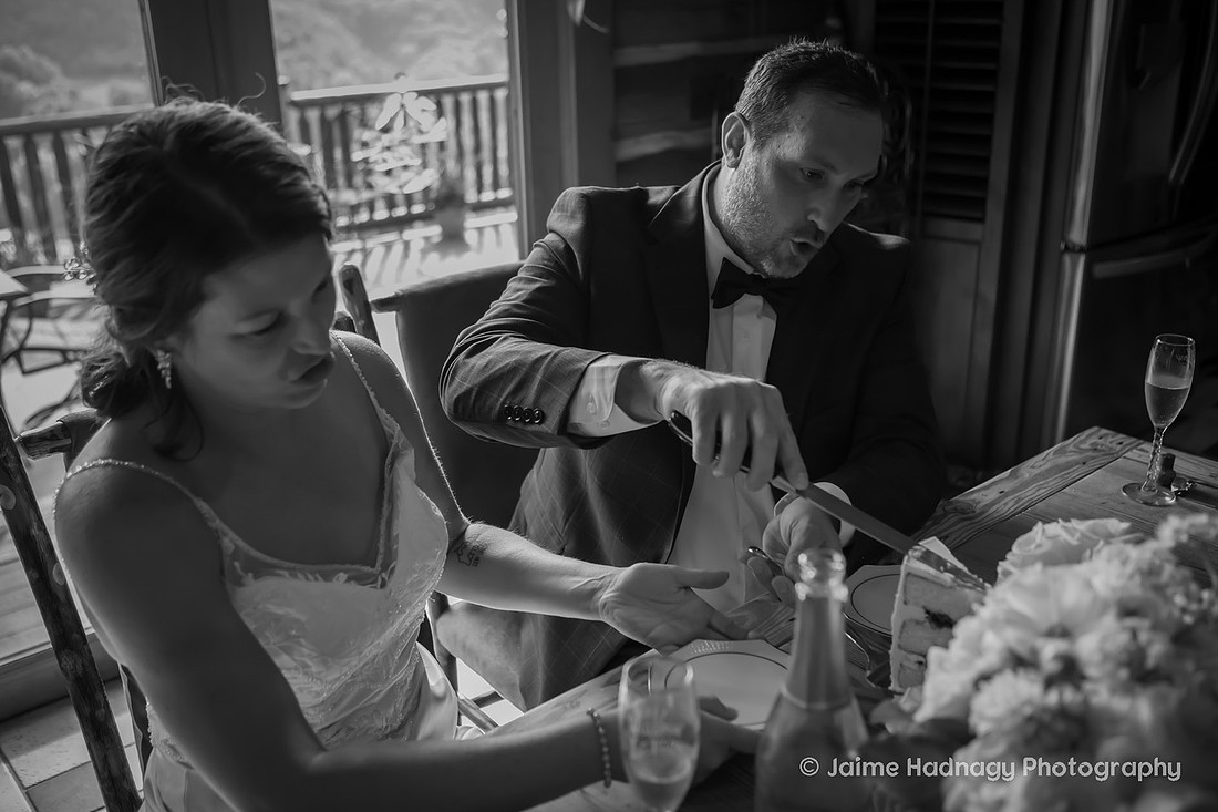 Wedding in the Mountains | Asheville Elopement Photographer