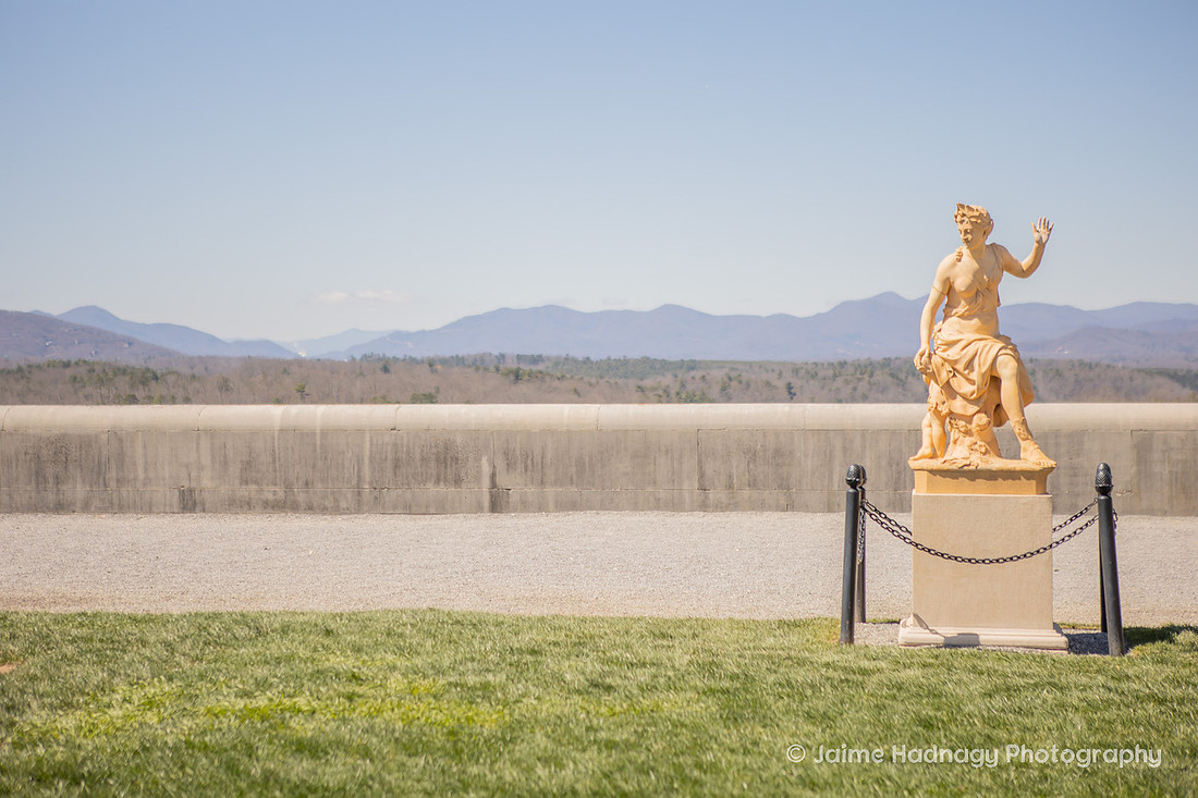 Surprise Proposal at Biltmore Estate | Asheville Engagement Photographer