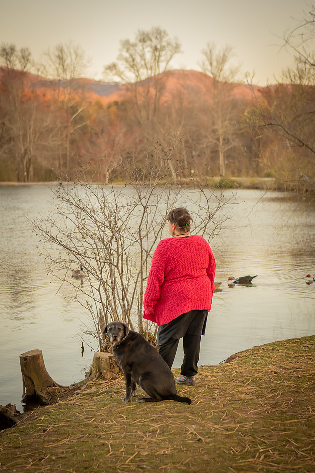 Photoshoot with dog and owner | Asheville Pet Photographer