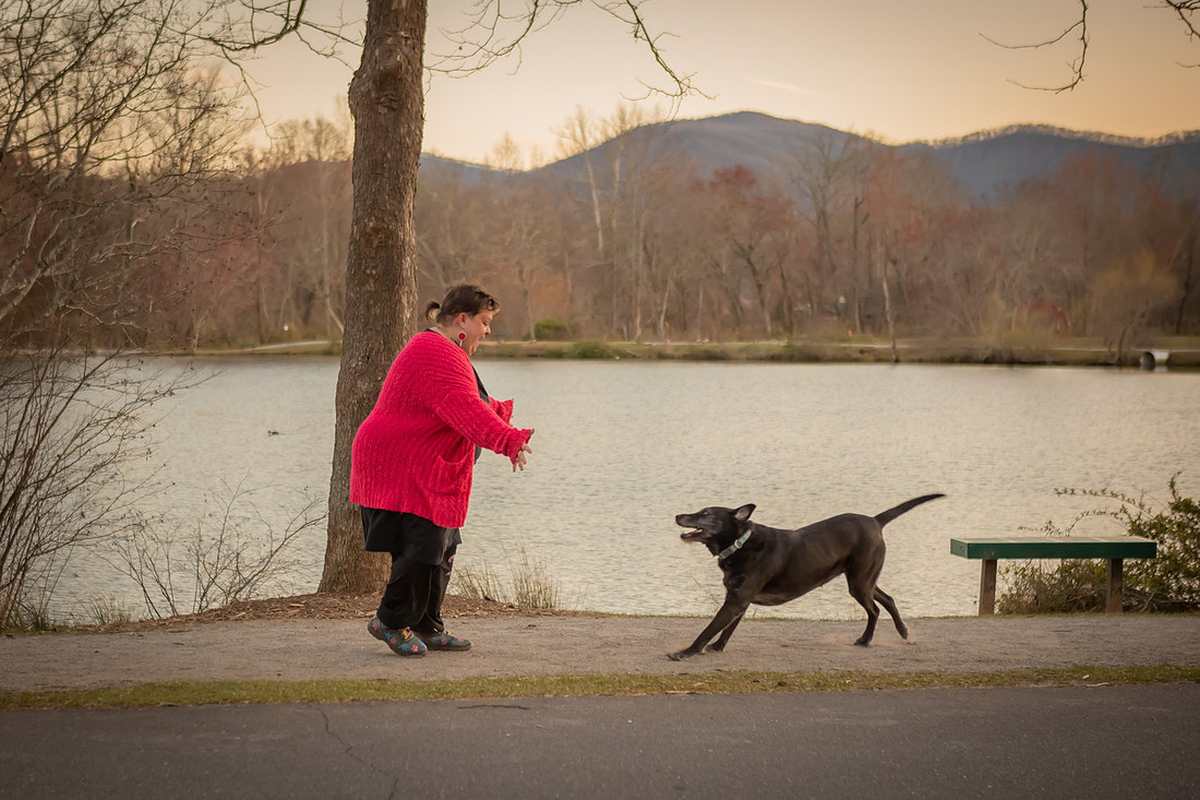 Pet Photoshoot Asheville