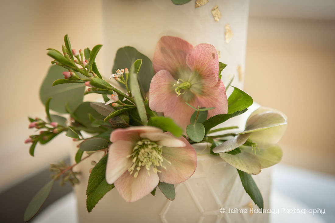 Wedding Photos | Asheville Elopement Photographer