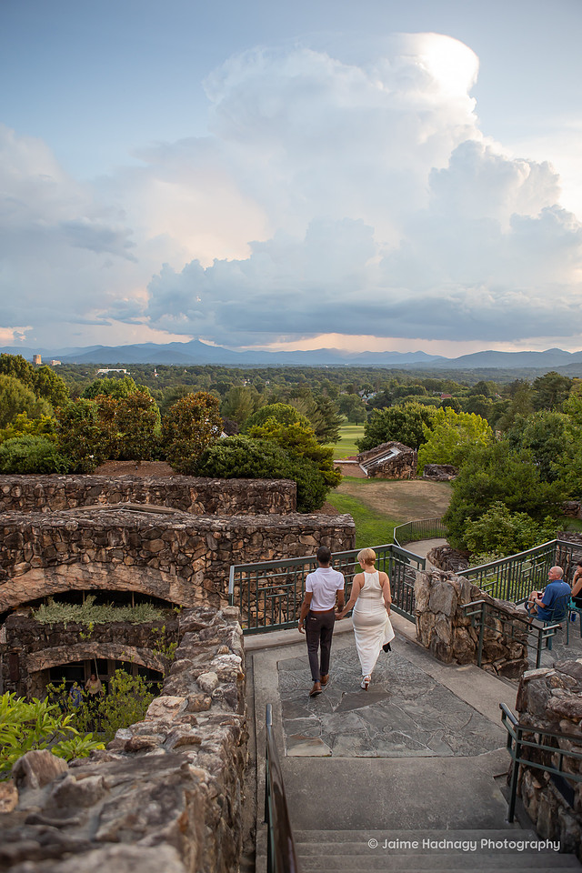 Asheville Surprise Proposal