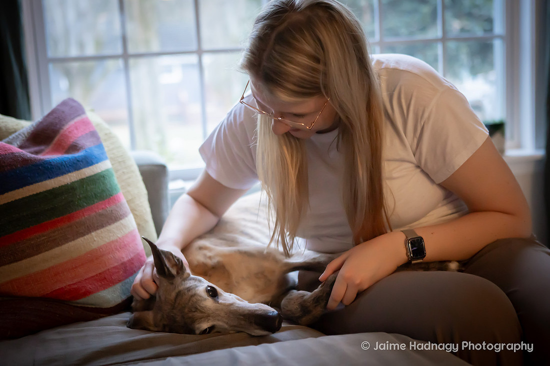 Family Dog Photoshoot in Home | Asheville Pet Photographer