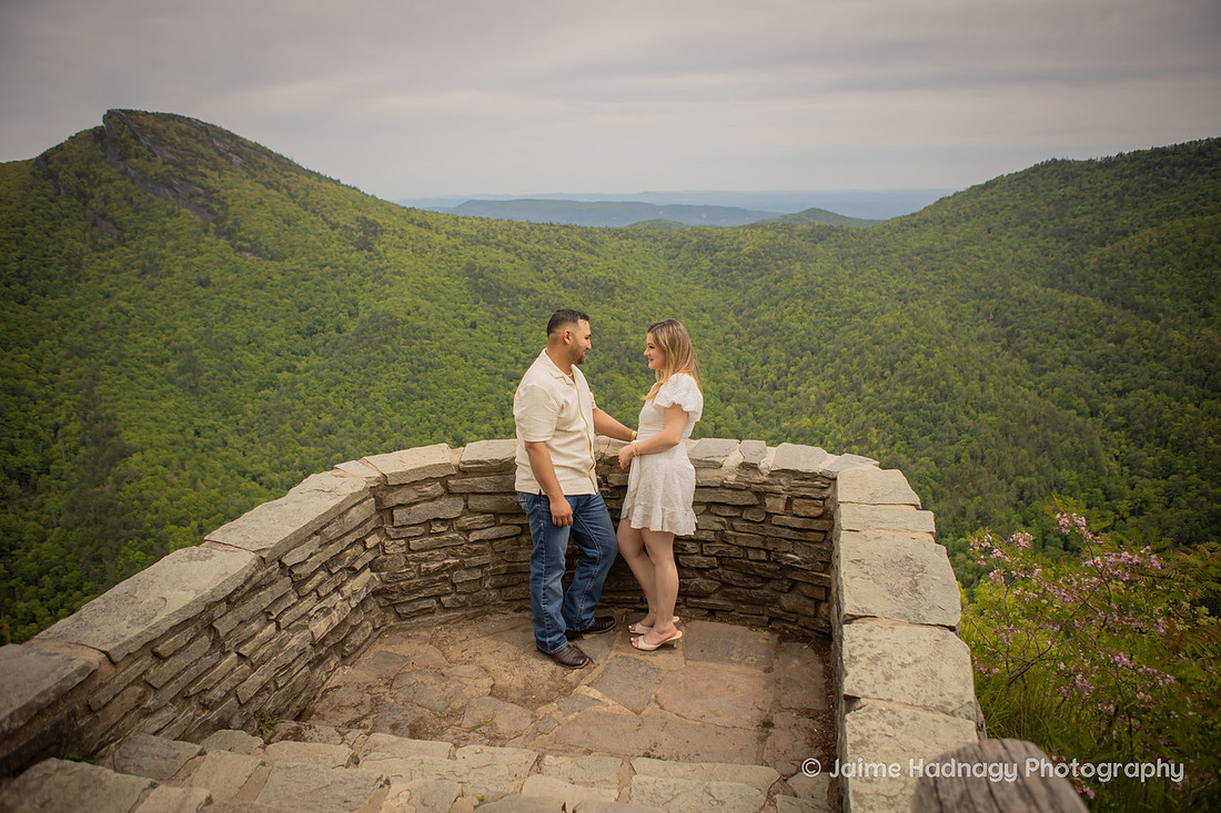 Romantic Proposal with Roses in the Mountains of Western NC | Asheville Photographer