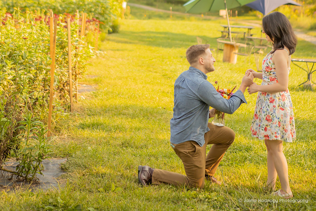 Surprise Proposal Photoshoot at The Never Ending Flower Farm | Asheville Photographer