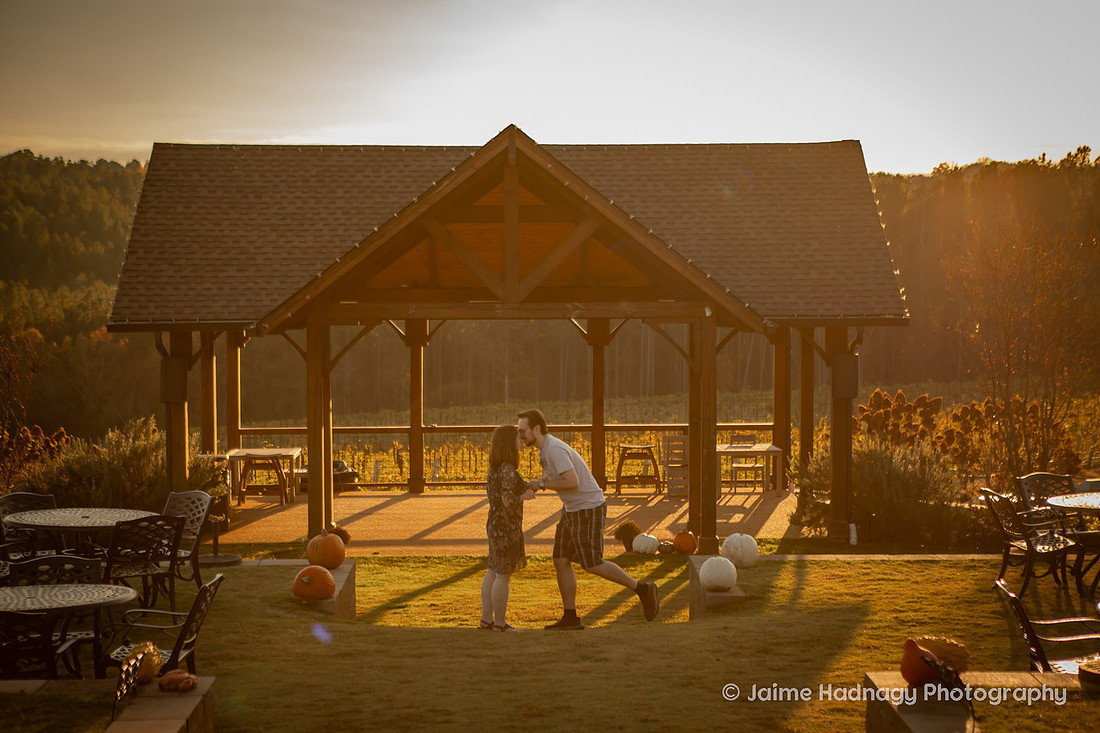 Surprise Proposal at Mountain Brook Vineyards | Asheville Engagement Photographer